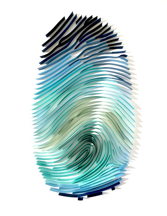 paper fingerprint