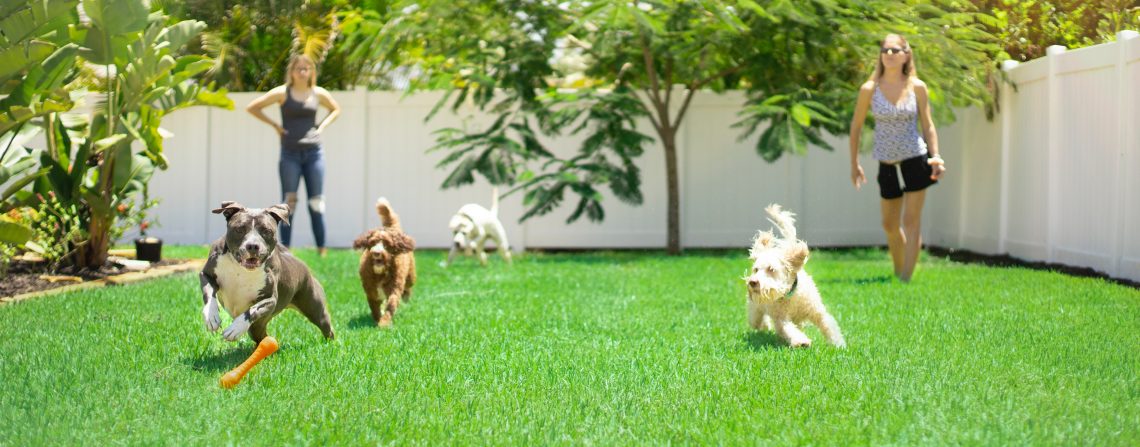 37 Insanely Cool Backyard Activities For This Summer