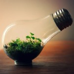 Top 28 DIY Light Bulb Projects You Could Be Having Fun With