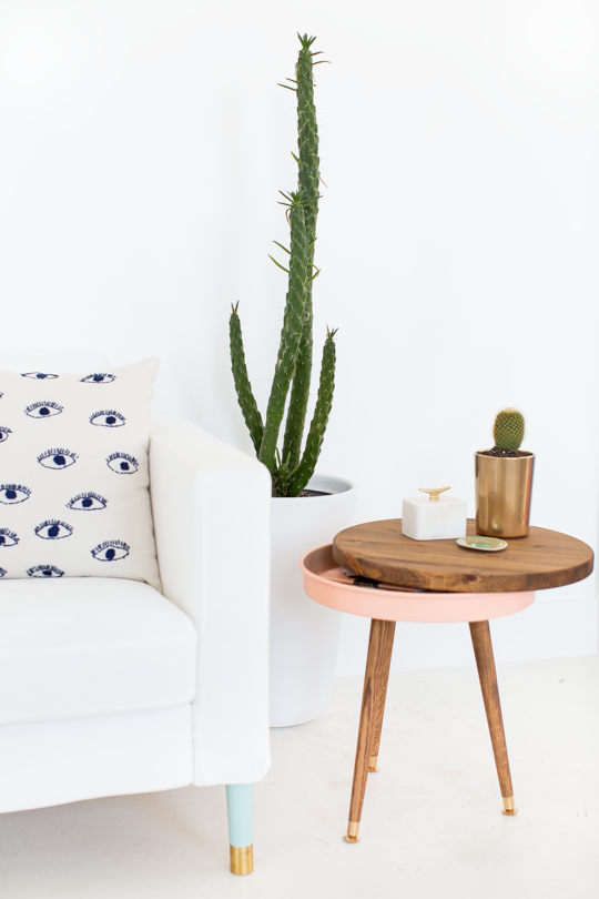 vase with cactus and couch