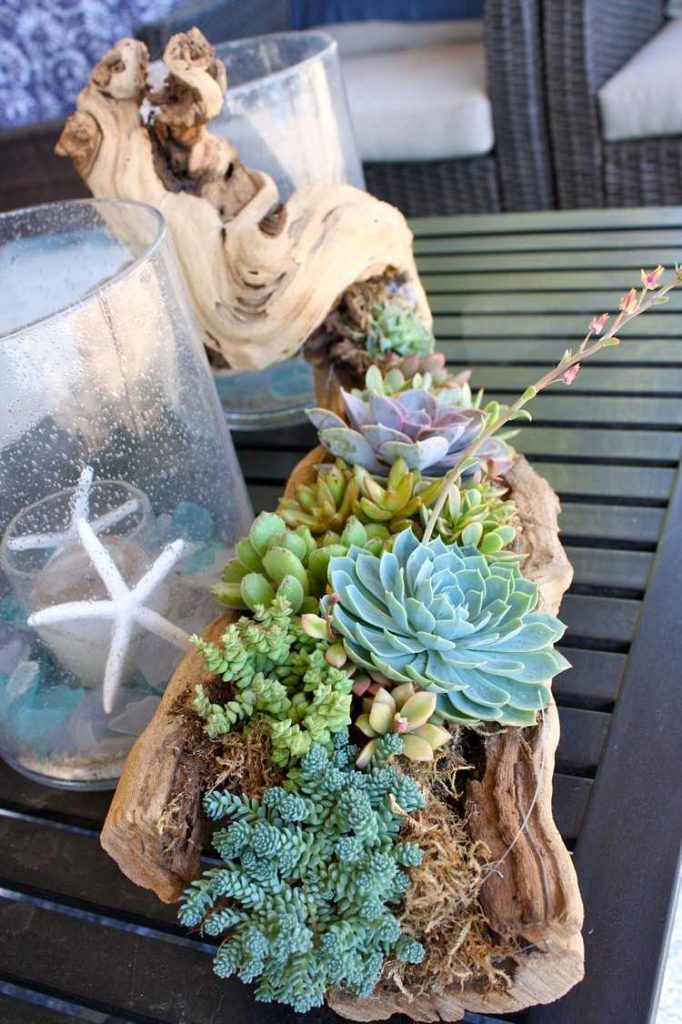 Fill Your Home With 45+ Delicate DIY Driftwood Crafts
