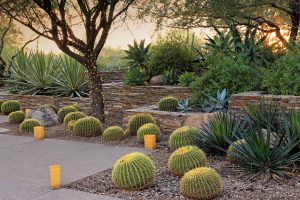 Amazing Landscaping Ideas For Small Yards - Useful DIY Projects