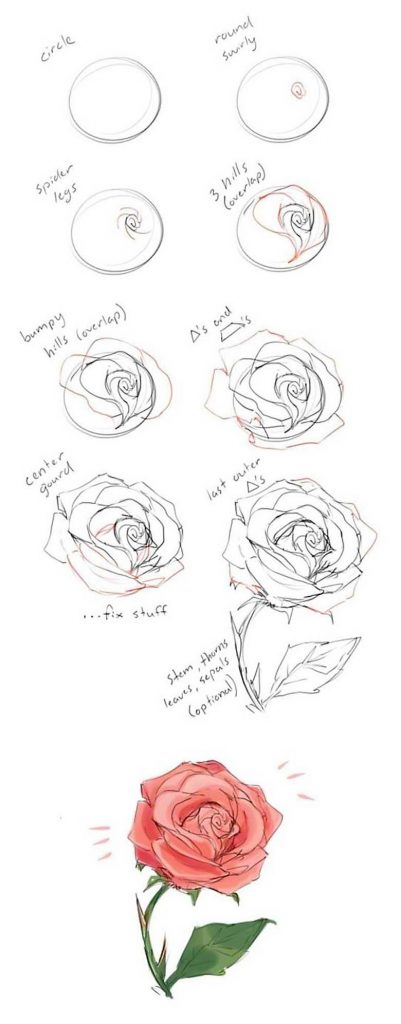 How to draw a beautiful rose