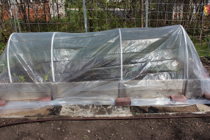 greenhouse build