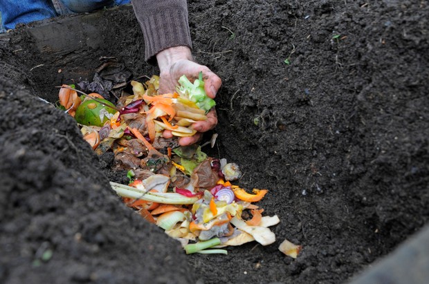 vegetables debris trench 