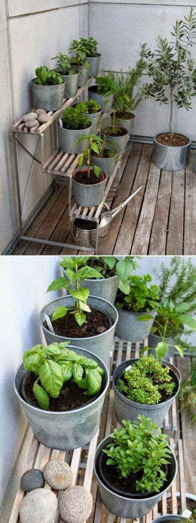 terrace method organizer plants