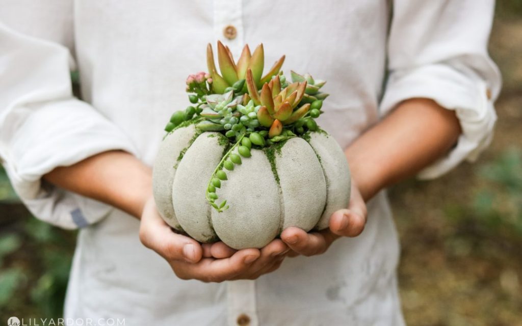 Pumpkin shaped succulent holder concrete crafts
