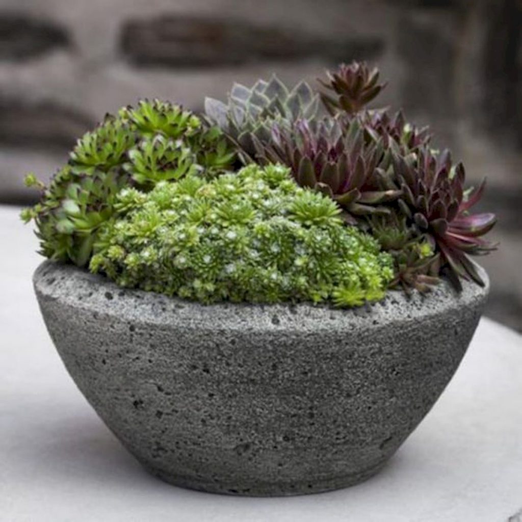 A miniature garden from concrete