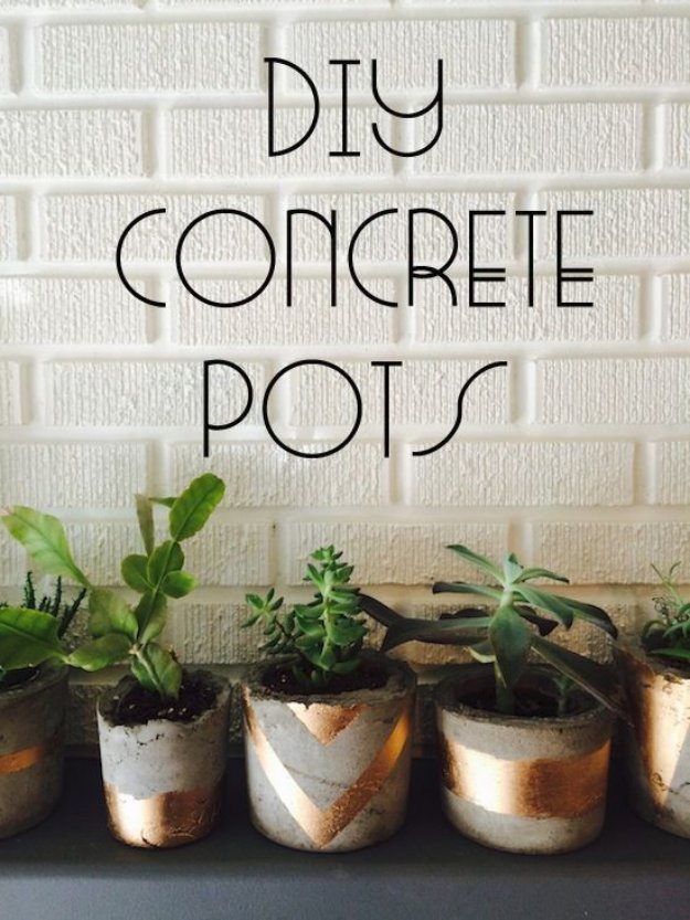 Concrete and gold flower pots