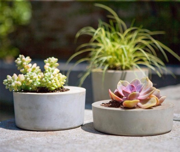 Succulent holders from concrete