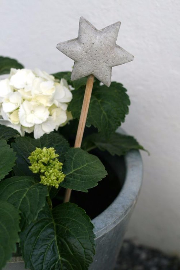 Cute star flower pot tag