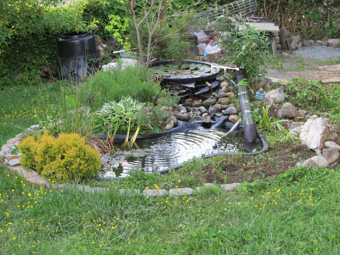 Best-DIY-ideas-for-your-backyard-pond - Useful DIY Projects