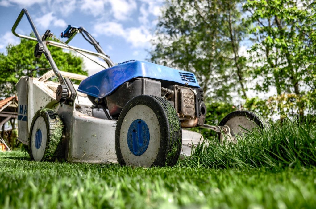 The Maintenance of a Natural Lawn