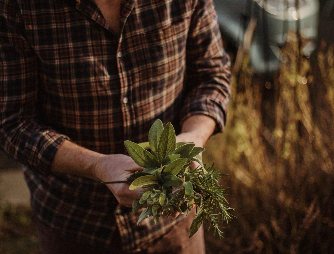 Type of Herbs