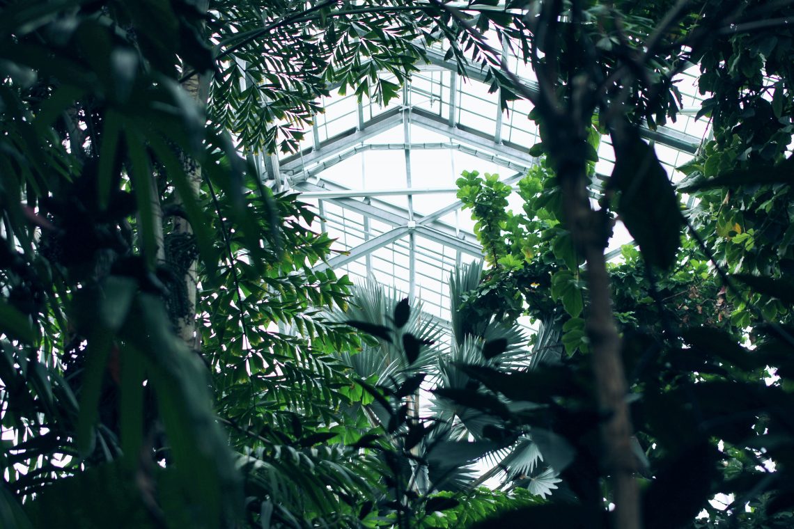 How To Regulate The Heat In Your Conservatory usefuldiyprojects