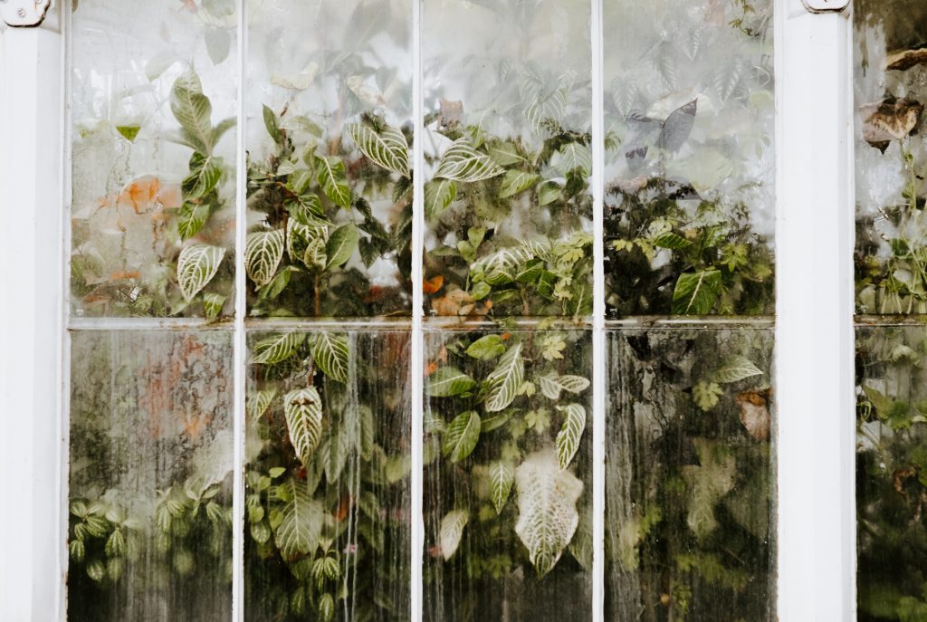 4 Methods Used To Cool Or Ventilate A Greenhouse - Useful DIY Projects