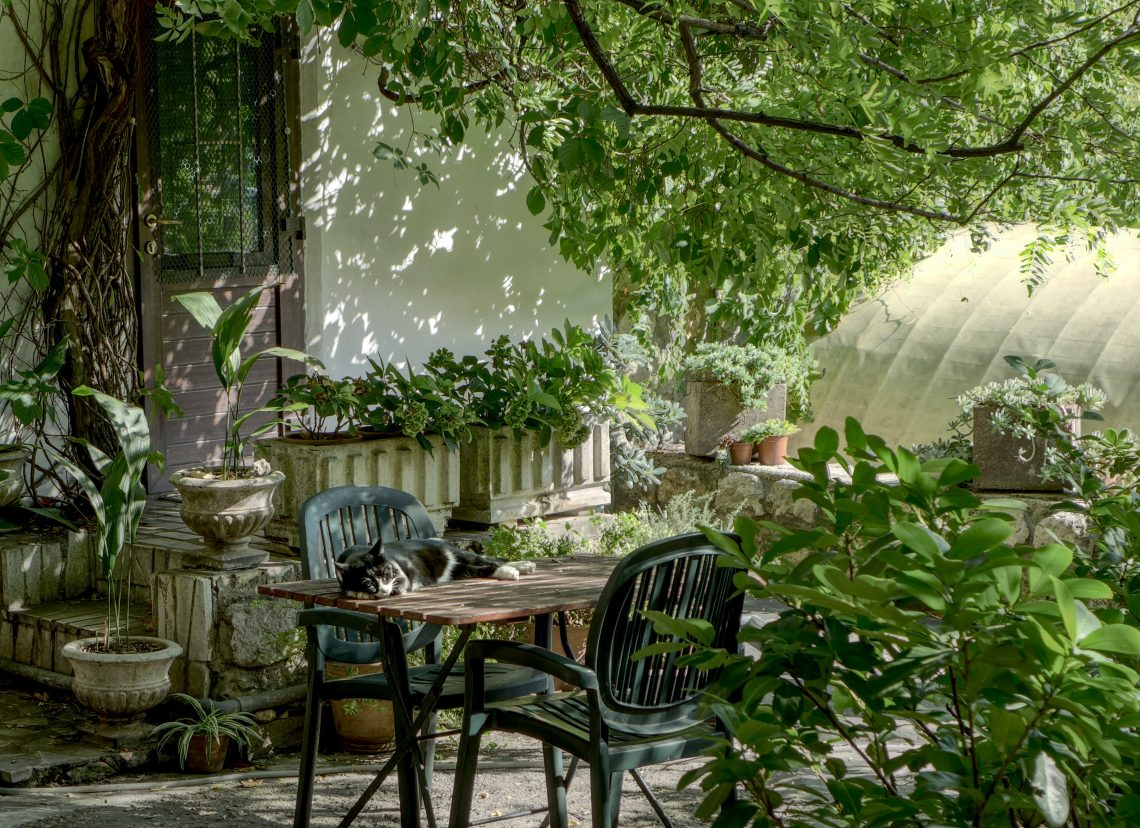 Useful Tips for DIY Enthusiasts on Garden Decoration