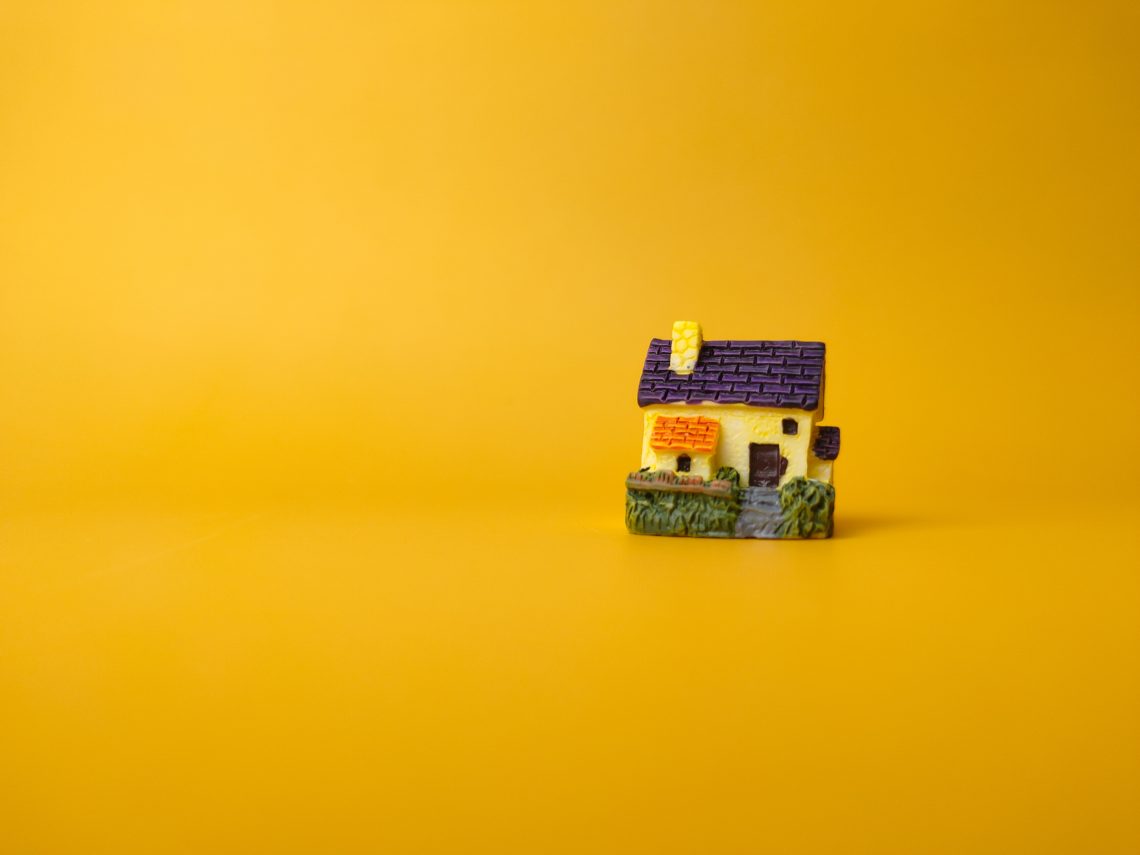 Budget-Friendly Home Improvement No Credit Check Loans