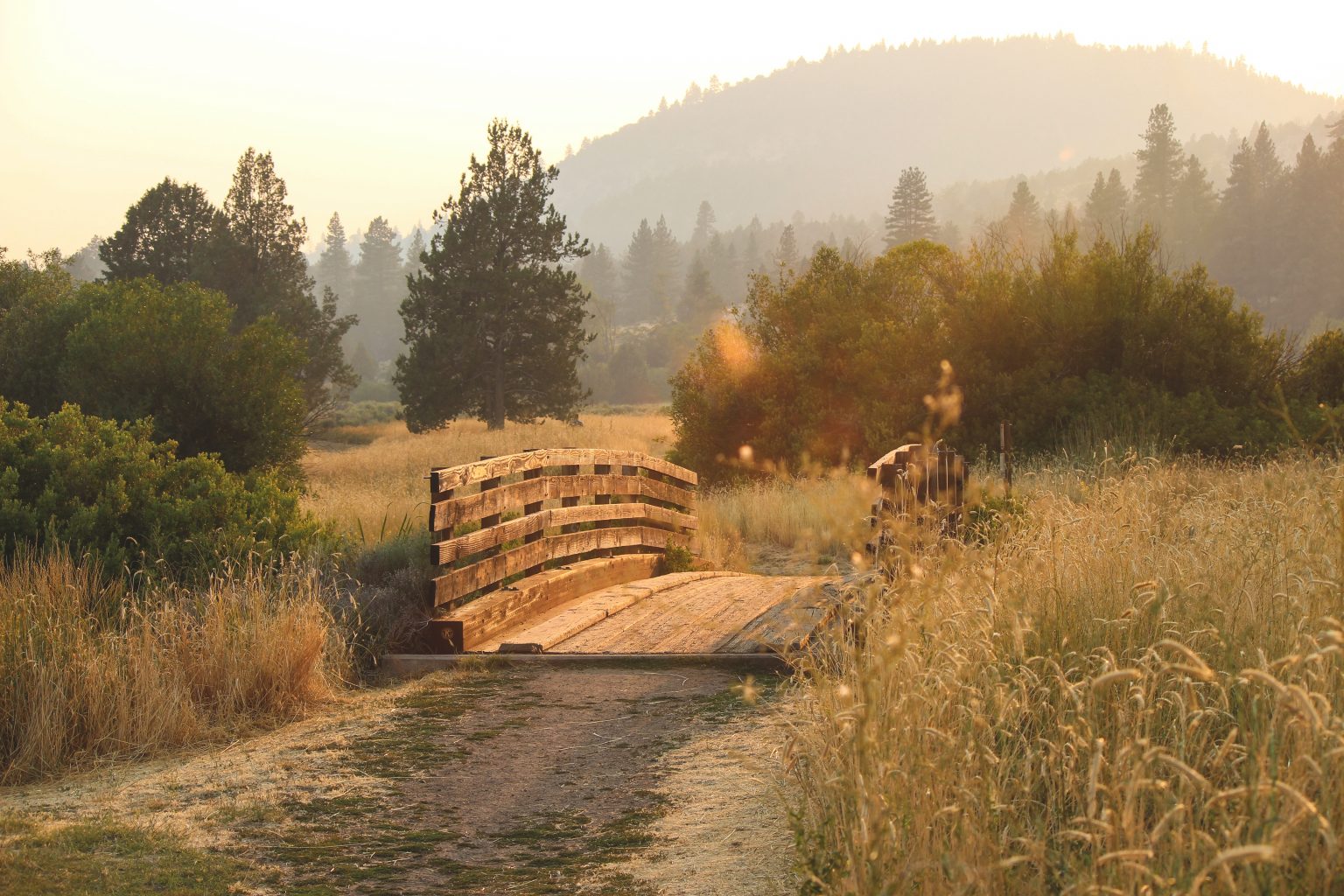 10 Best States for Living Off the Grid Useful DIY Projects