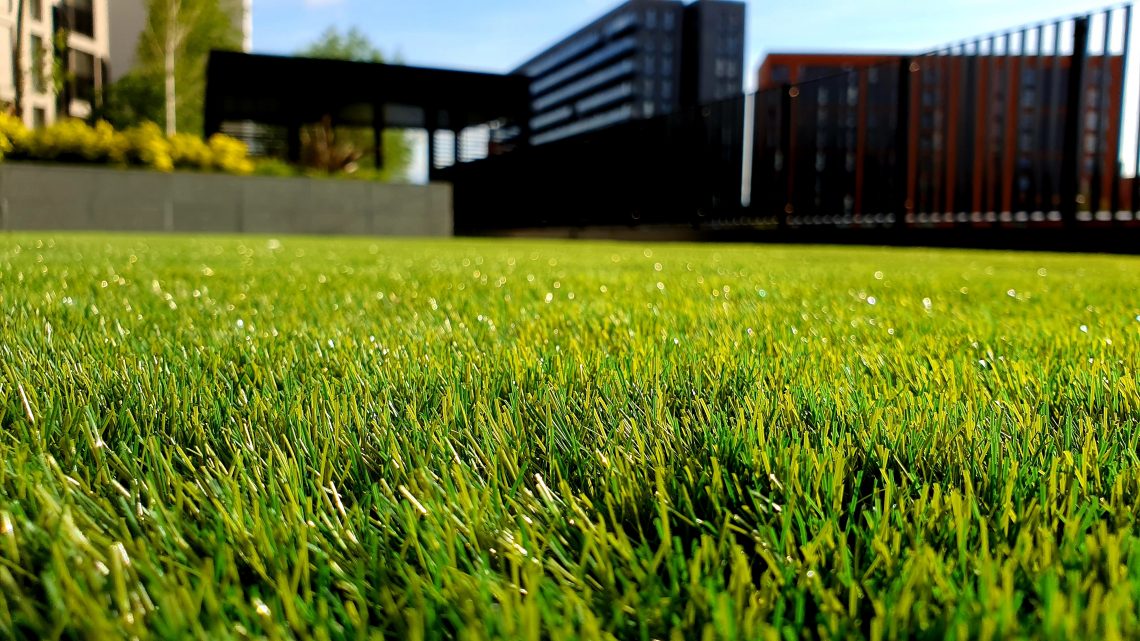5 Tips You Should Know When Using A Robotic Lawn Mower For The First Time