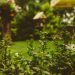 How To Make Your Garden A Better Place