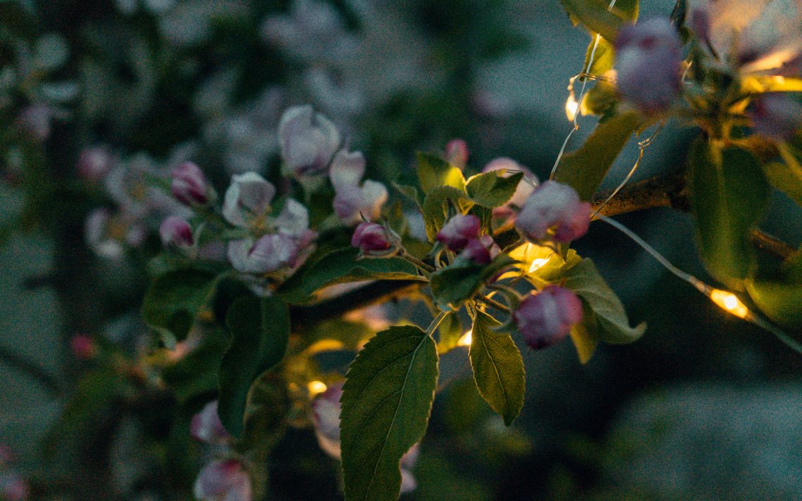 How to Use Garden Lighting to Elevate Your Outdoor Landscapes