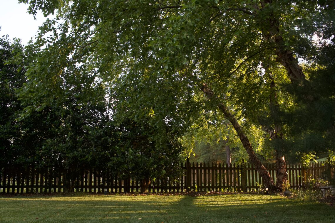 What to Think About When Upgrading Your Backyard