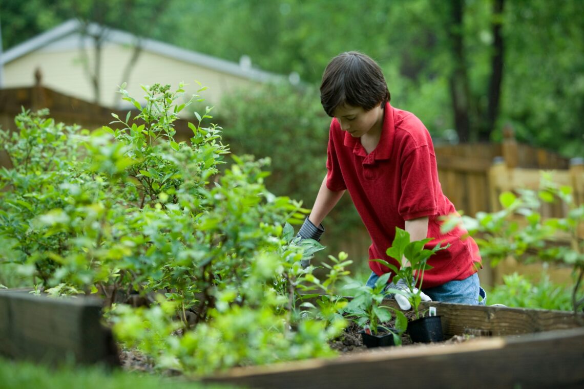 Tips for DIY Enthusiasts on Pest Control at Home