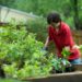 Tips for DIY Enthusiasts on Pest Control at Home