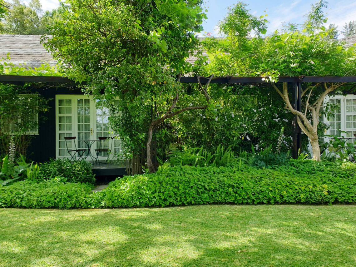 Top Changes You Can Make To Your Backyard To Use It Year-Round