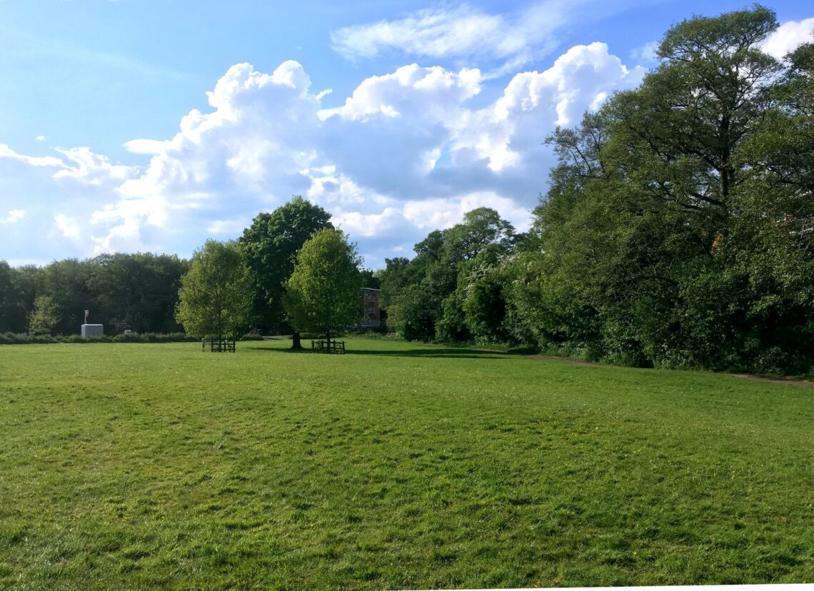 The Best Lawn Fertilizers for Your Lawn