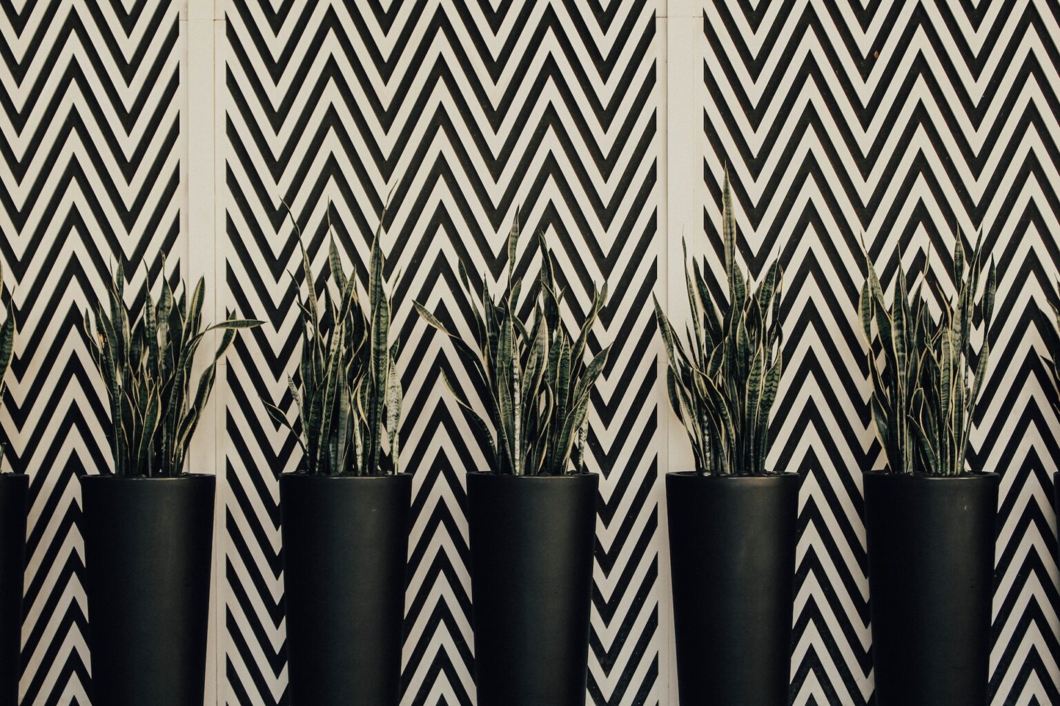 Ways To Use Chevron Pattern Tiles In Your Home Design